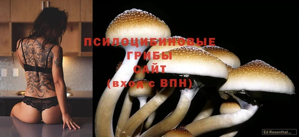 индика Заволжск