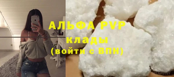 индика Заволжск