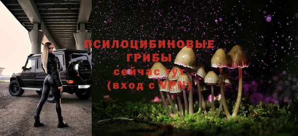 бошки Зерноград