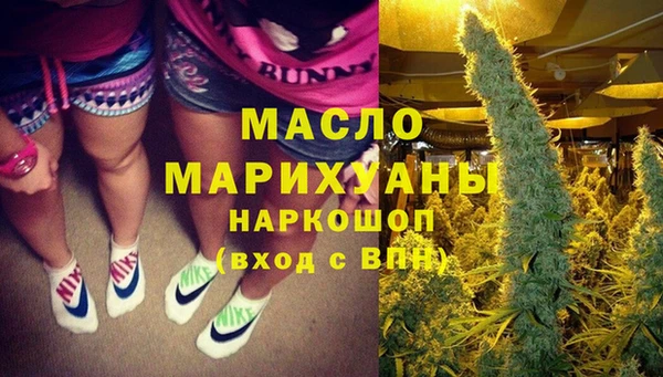 индика Заволжск