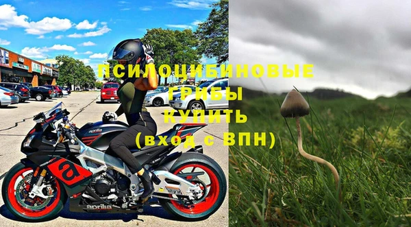 индика Заволжск