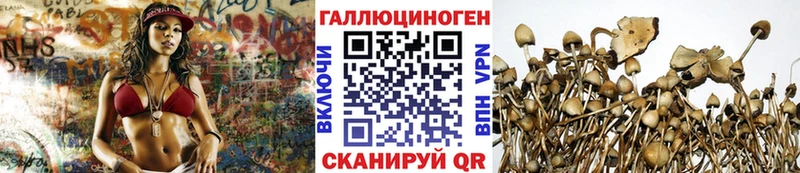 Псилоцибиновые грибы прущие грибы  где купить наркоту  Волгодонск 