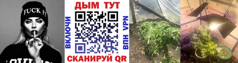 Шишки марихуана VHQ  цены наркотик  Волгодонск 
